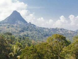 Ditetapkan Taman Nasional ke 53 di Indonesia, Akmal Berharap Gunung Gandang Dewata Lebih Dikenal