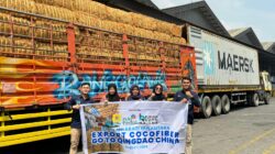 UMKM Litani Abadi Nusantara Ekspor Cocofiber ke Qiandao, China: Dukungan PLN dan Rumah BUMN Majene Membawa Harapan Baru